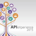 Evento aborda estratégias e oportunidades de negócios usando API