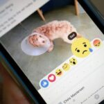 Facebook terá seis novos emojis junto com o botão ‘curtir’; conheça